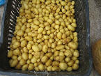 wp60096e65.jpg