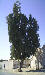 wp6f7919c4.jpg